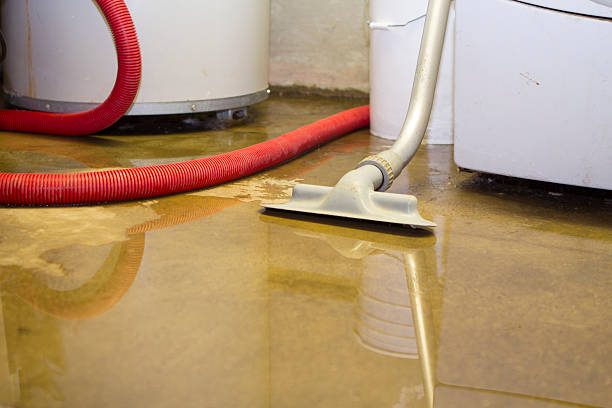 Best 24-hour water damage restoration  in Tangerine, FL