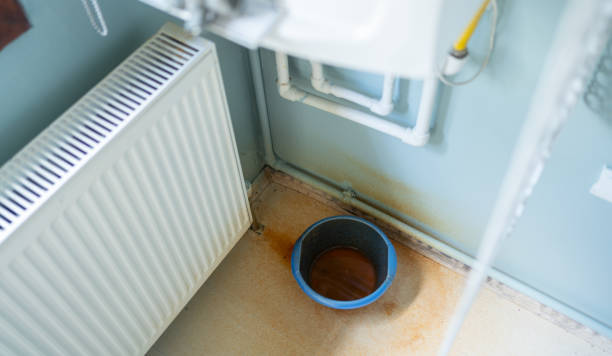  Tangerine, FL Water damage restoration Pros