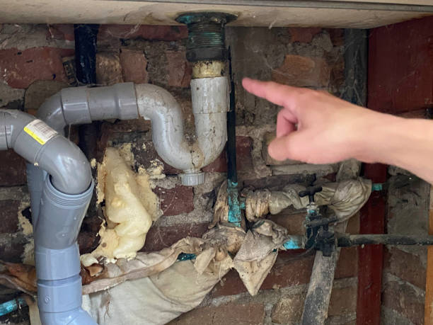 Best Commercial water damage restoration  in Tangerine, FL