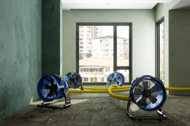 Best Sewage cleanup and water damage restoration  in Tangerine, FL