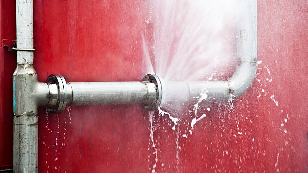 Best Water damage cleanup near me  in Tangerine, FL